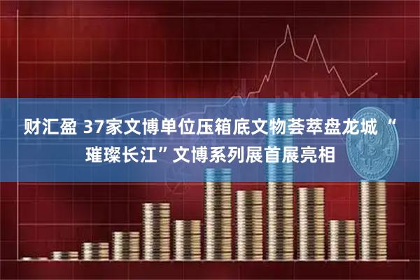 财汇盈 37家文博单位压箱底文物荟萃盘龙城 “璀璨长江”文博系列展首展亮相