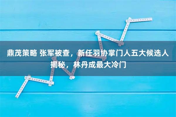 鼎茂策略 张军被查，新任羽协掌门人五大候选人揭秘，林丹成最大冷门