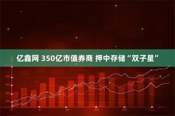 亿鑫网 350亿市值券商 押中存储“双子星”