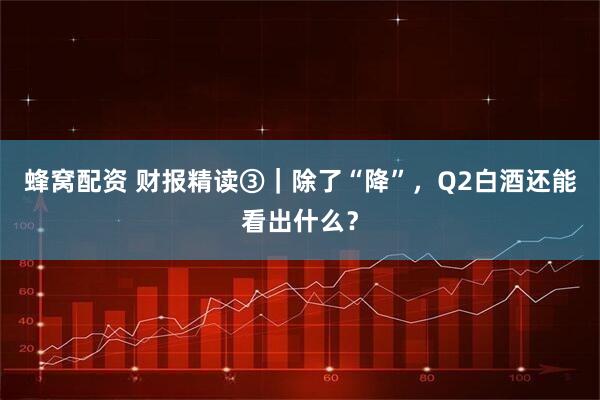 蜂窝配资 财报精读③｜除了“降”，Q2白酒还能看出什么？